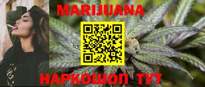 СК Обь