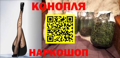 spice Обнинск